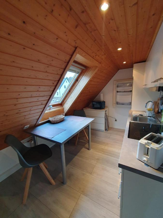 Ferienwohnung Haenel Antonshohe Zewnętrze zdjęcie